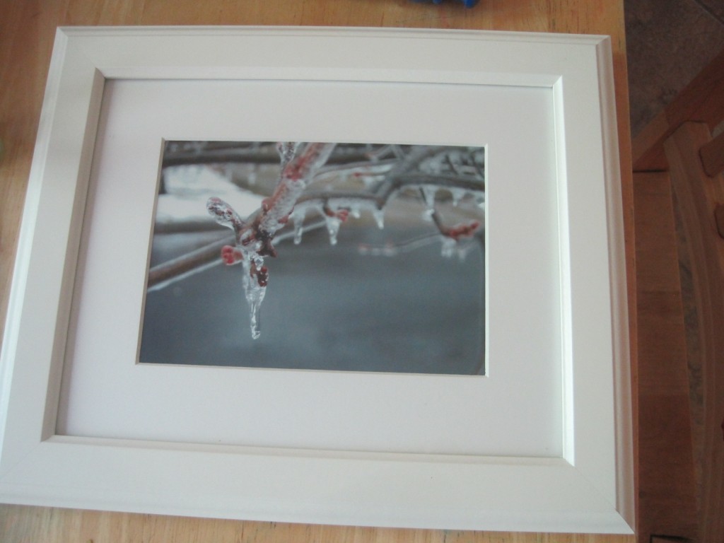 Framed photo of branch with ice on it
